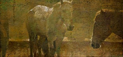 调和万彩，凝光影之诗