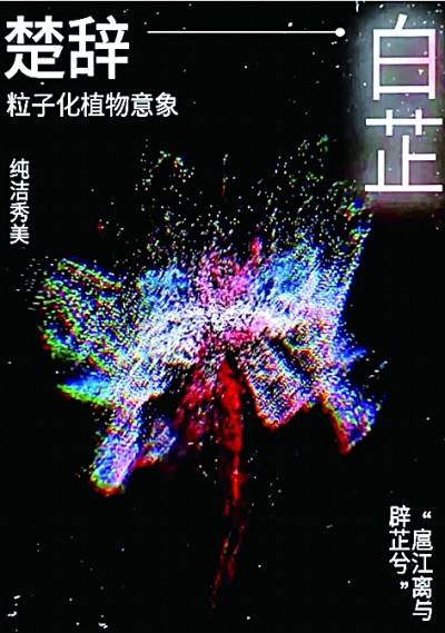 艺术嘉年华 社会新美育