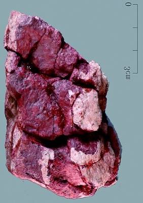 新庙庄遗址：跨越十万年的华北地区古人类“演化史”