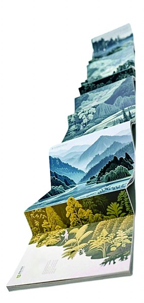 设计赋能当代“本草之书”