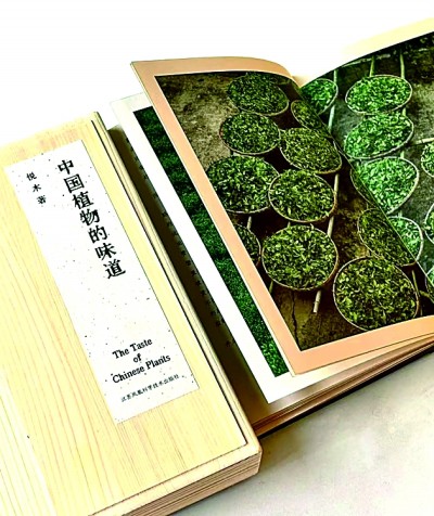 盏中浮沉寻本真