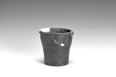 从考古发现看中华文明的起源