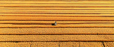 人机共创 智绘新境