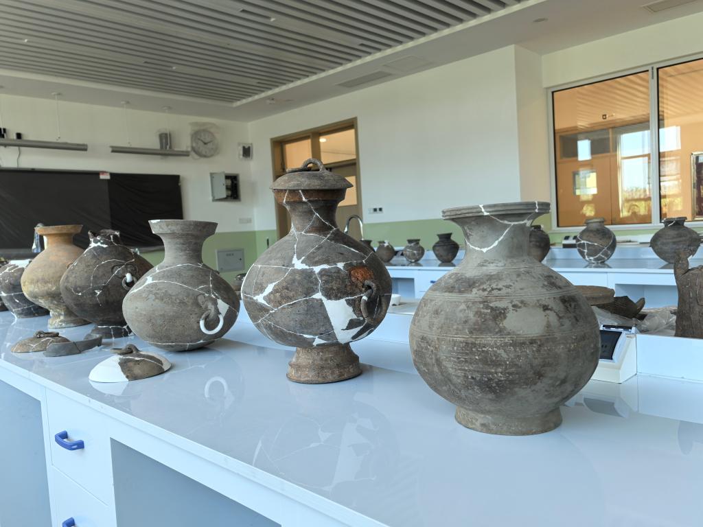 修复文物，修正偏见——山东特殊教育职业学院文物修复一线见闻