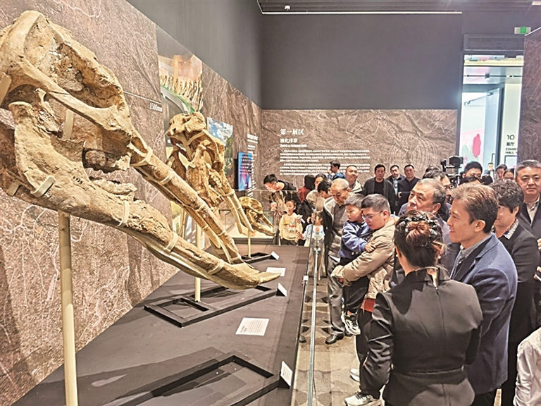 一场跨越千万年的生命对话