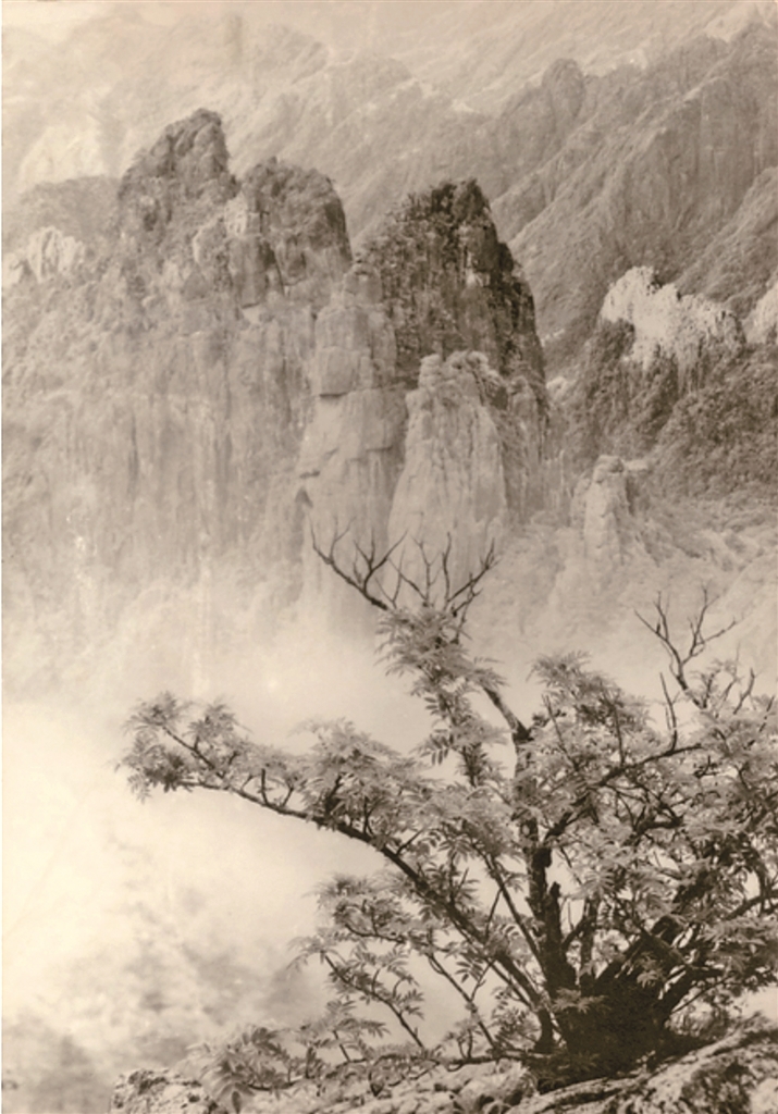 搜尽奇峰 溯洄从之——中国当代山水影像艺术探微 搜尽奇峰 溯洄从之——中国当代山水影像艺术探微