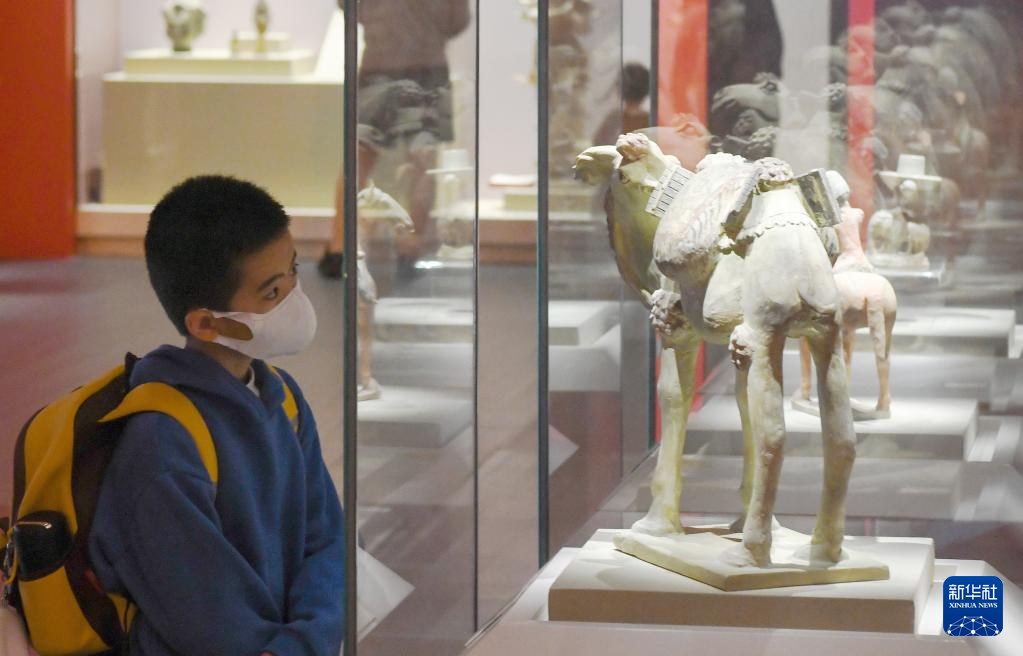 海口：博物馆里度假期