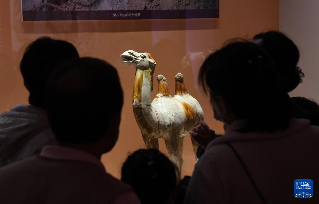 海口：博物馆里度假期